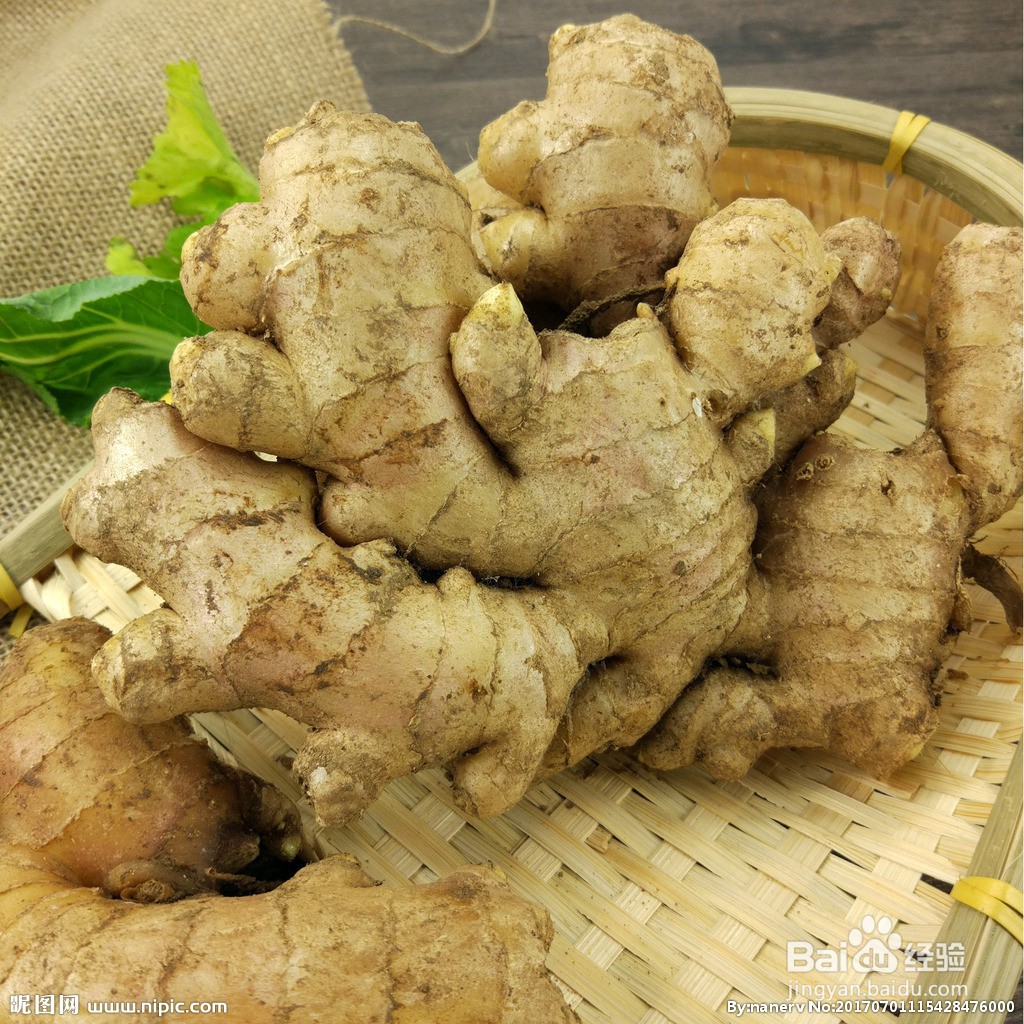 狗肉去腥味的绝密方法