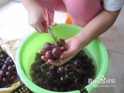 怎样居家自制葡萄酒