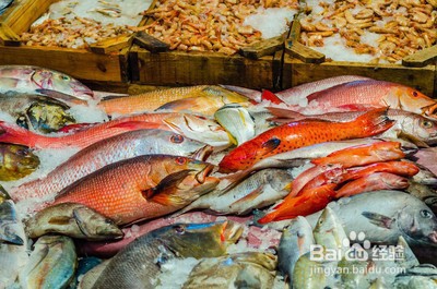 冻海鲜进口如何报关