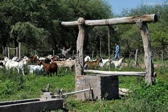 圣地亚哥有哪些特色的节日活动旅游景点