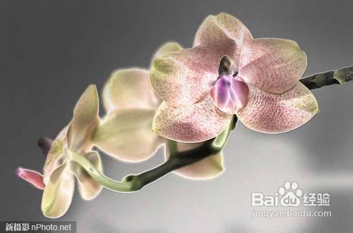 PS合成教程_ps打造复感照片效果