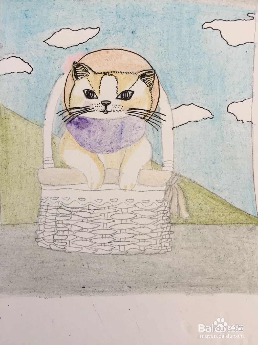 插画教程之猫咪
