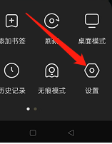 狐猴浏览器怎样设置自动下载项