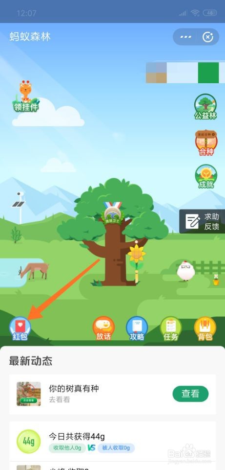 蚂蚁森林怎么设置红包