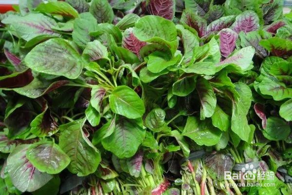 孕妇尽量少碰的蔬菜有哪些？