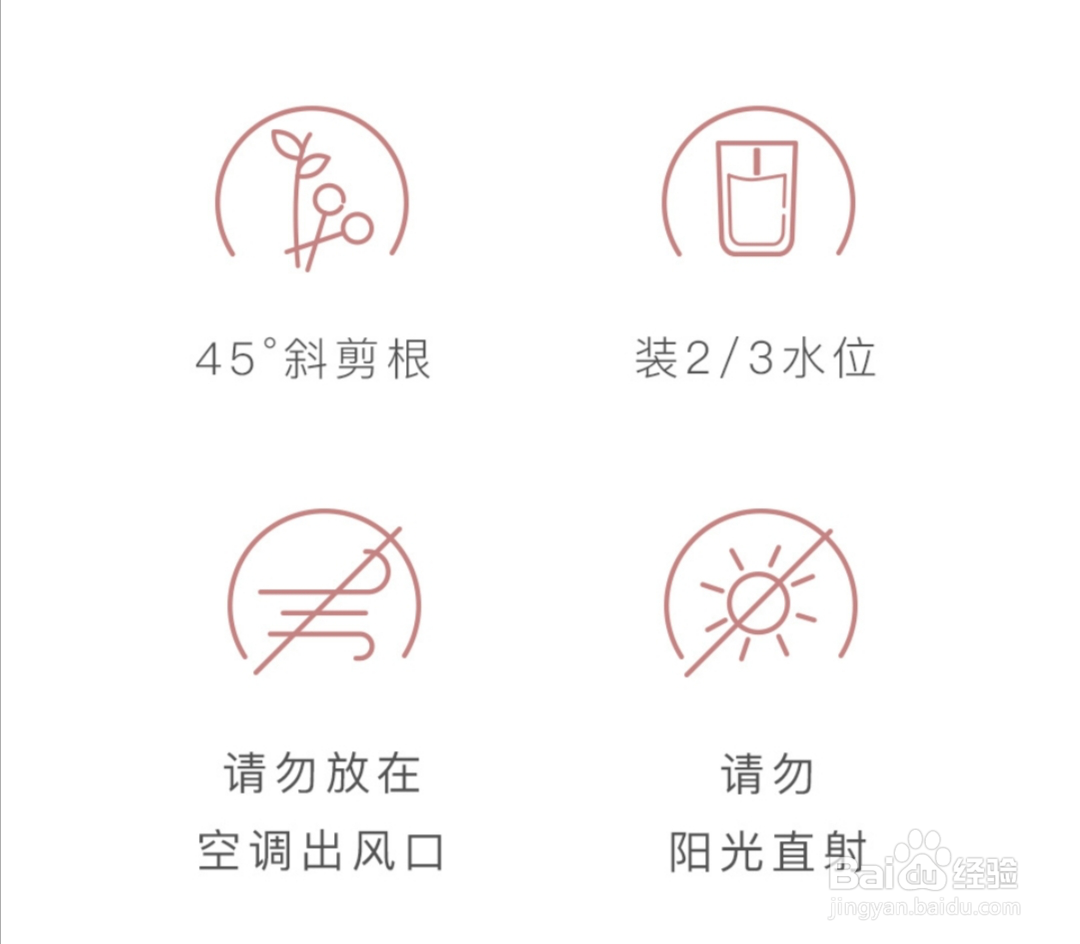 花加鲜花养护攻略，助你呵护每一朵花的美丽