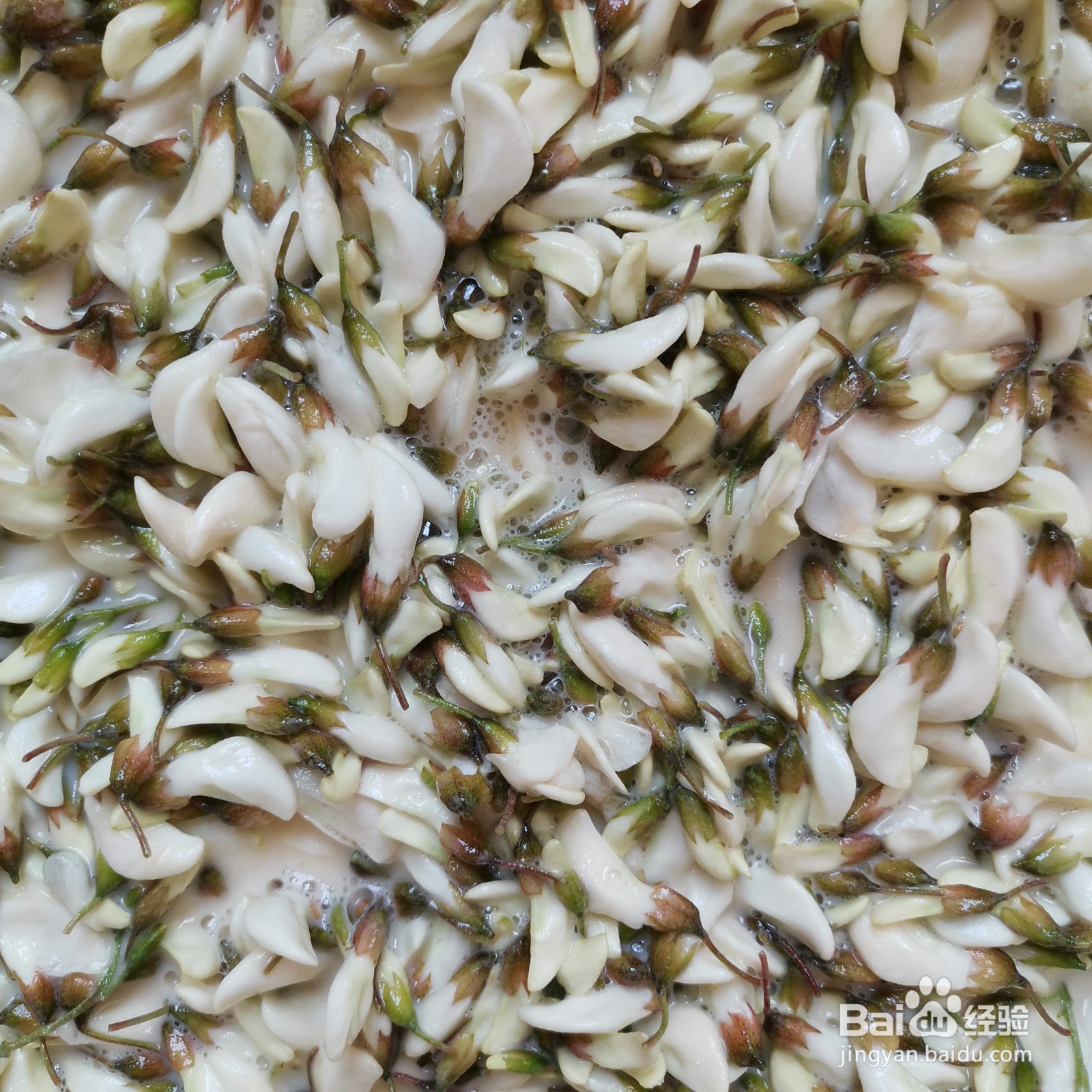 怎么做唇齿留香的家常槐花饼呢？