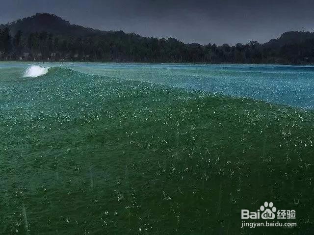 七个摄影小技巧,让你在雨天也能拍出好照片