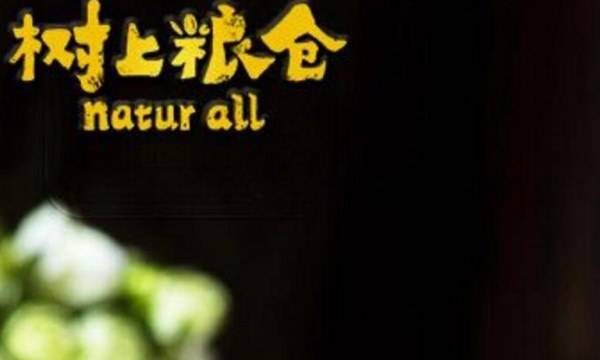 树上粮仓和好想你什么关系