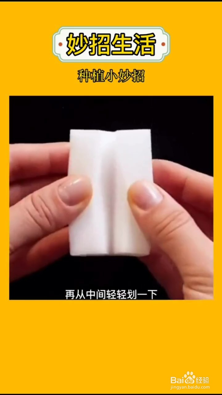 如何在家自制嫁接植物