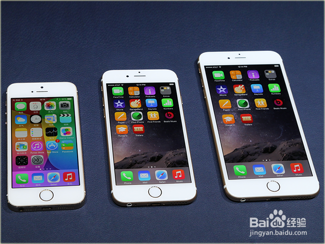 iPhone6/Plus/5c/5s 该买谁?