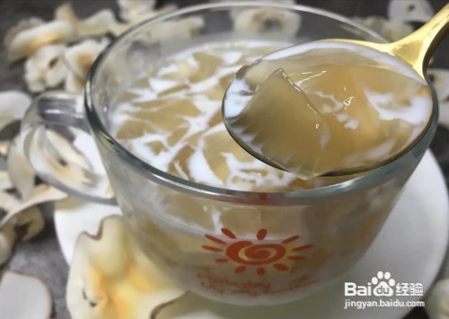 海底椰膏的做法