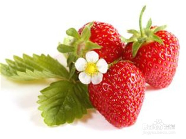 夏季应该吃什么水果