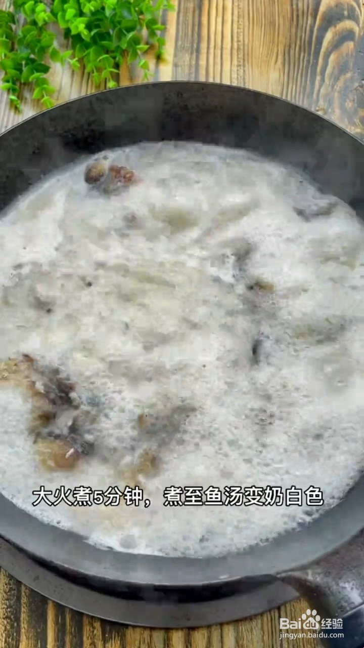 教你制作美食鲫鱼裙带菜汤？