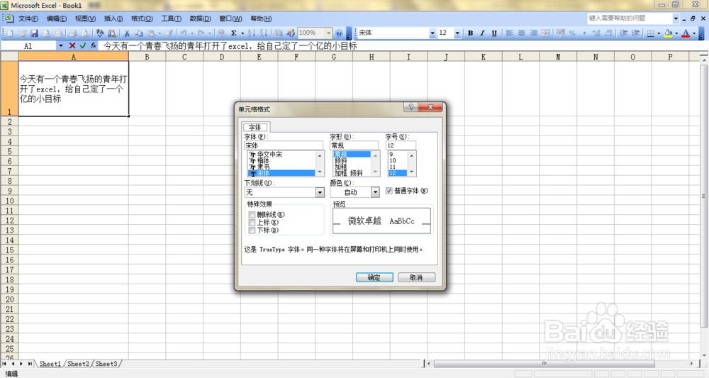 Excel表格里怎么输入两行文字