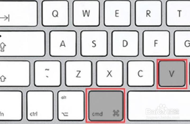 复制,粘贴文本,文件,文件夹的快捷方式