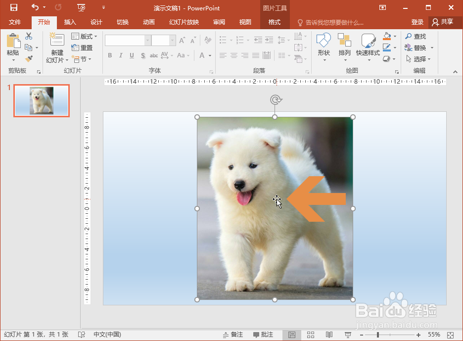 PowerPoint2016缩放图片时怎么让图片不变形