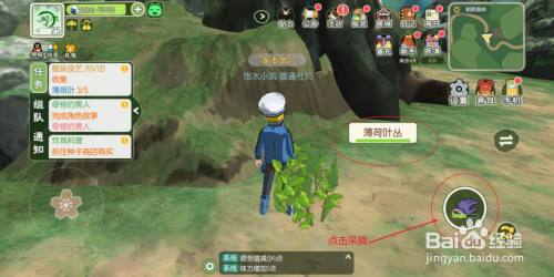 小森生活的薄荷叶是如何获取的?