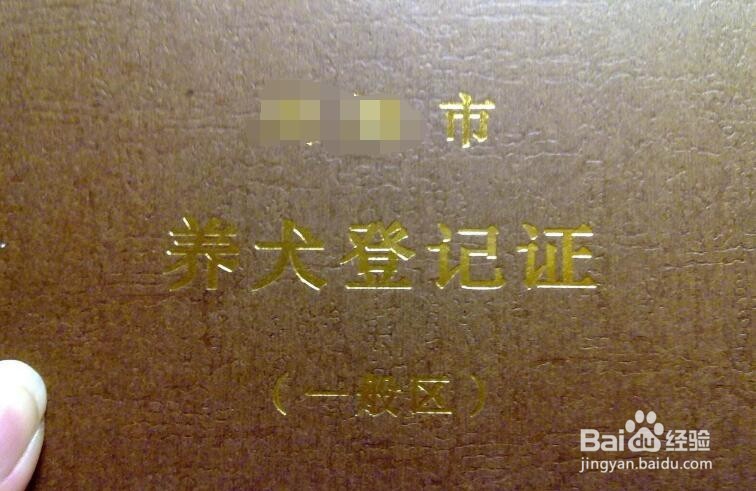 怎样对付小区里的大型犬