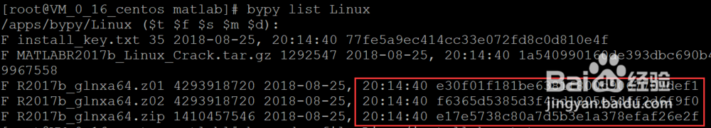 远程无显示器CentOS如何自定义安装MATLAB①