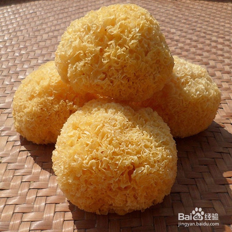 丑耳好还是银耳好?丑耳与银耳的区别-丑耳批发