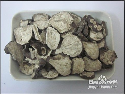 附子seo 全网资源