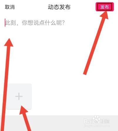 波聊视频聊天怎么在圈子发动态