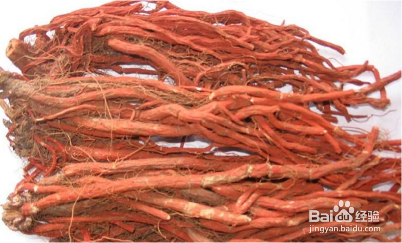 生活常识普及:天草丹参的功效及使用方法