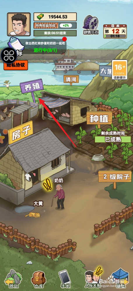 我的乡村生活如何设置自动买鸡
