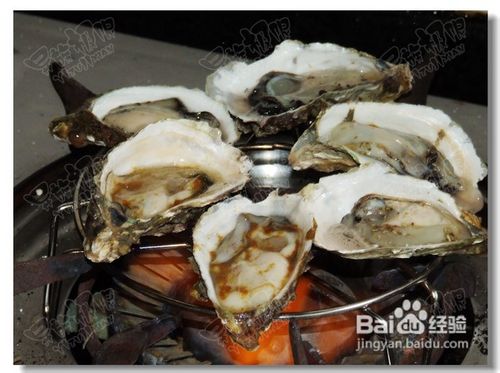 家庭自助烤蚝（牡蛎）