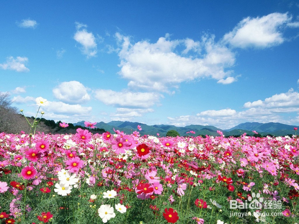 养生和养生的目的