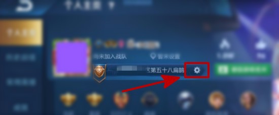 王者里面的100强怎么设置