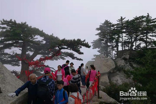 四川广安出发陕西西安（华山）经济四日游