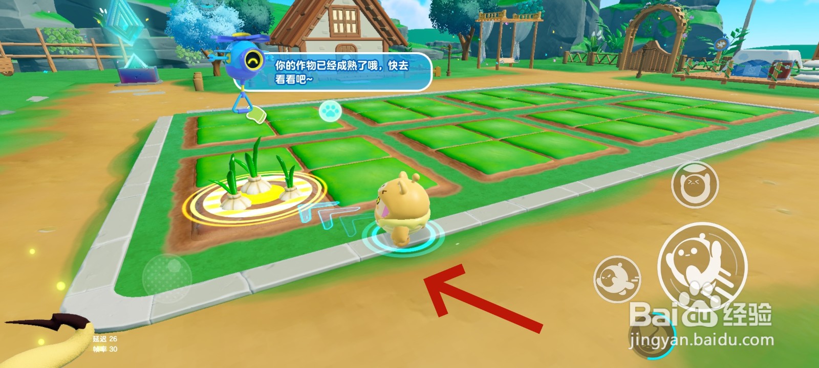 蛋仔派对游戏中收割大蒜的教程