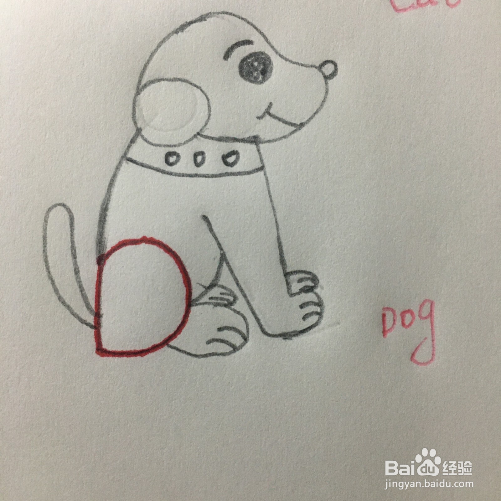 怎么用字母D画简笔画小狗？