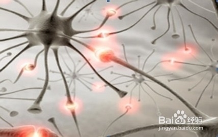 全方位祛除痫灶体系