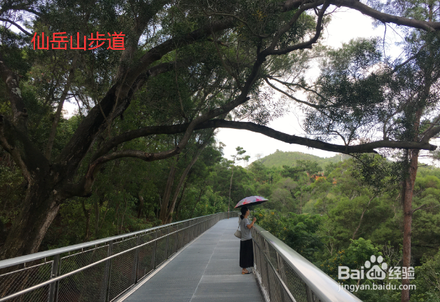 厦门山海步道游玩攻略