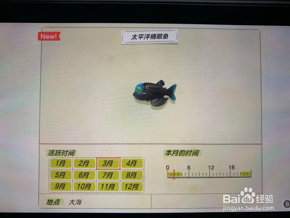 动物森友会有多少种鱼