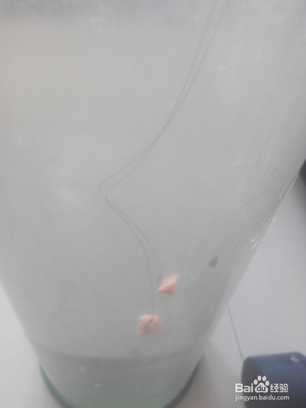 怎么在星漂安装夜光棒（二）塑料管套主线法