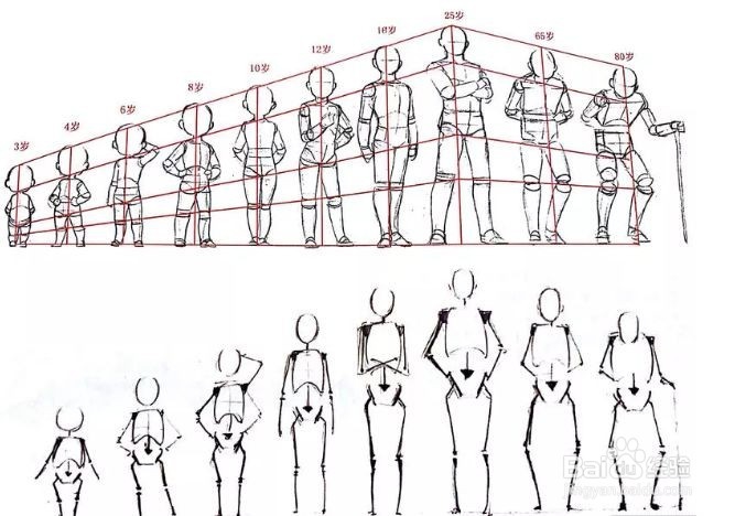 【推荐】人体结构基础绘画方法