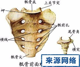 怎样学好医学