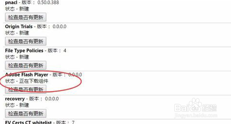 谷歌浏览器adobe flash player已过期,怎更新