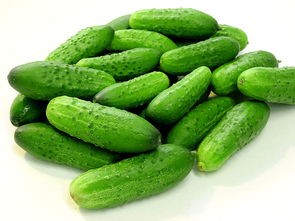 如何区分香蕉、秋葵、菠萝蜜、黄瓜和丝瓜呢
