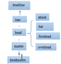 高考英语单词lesson3