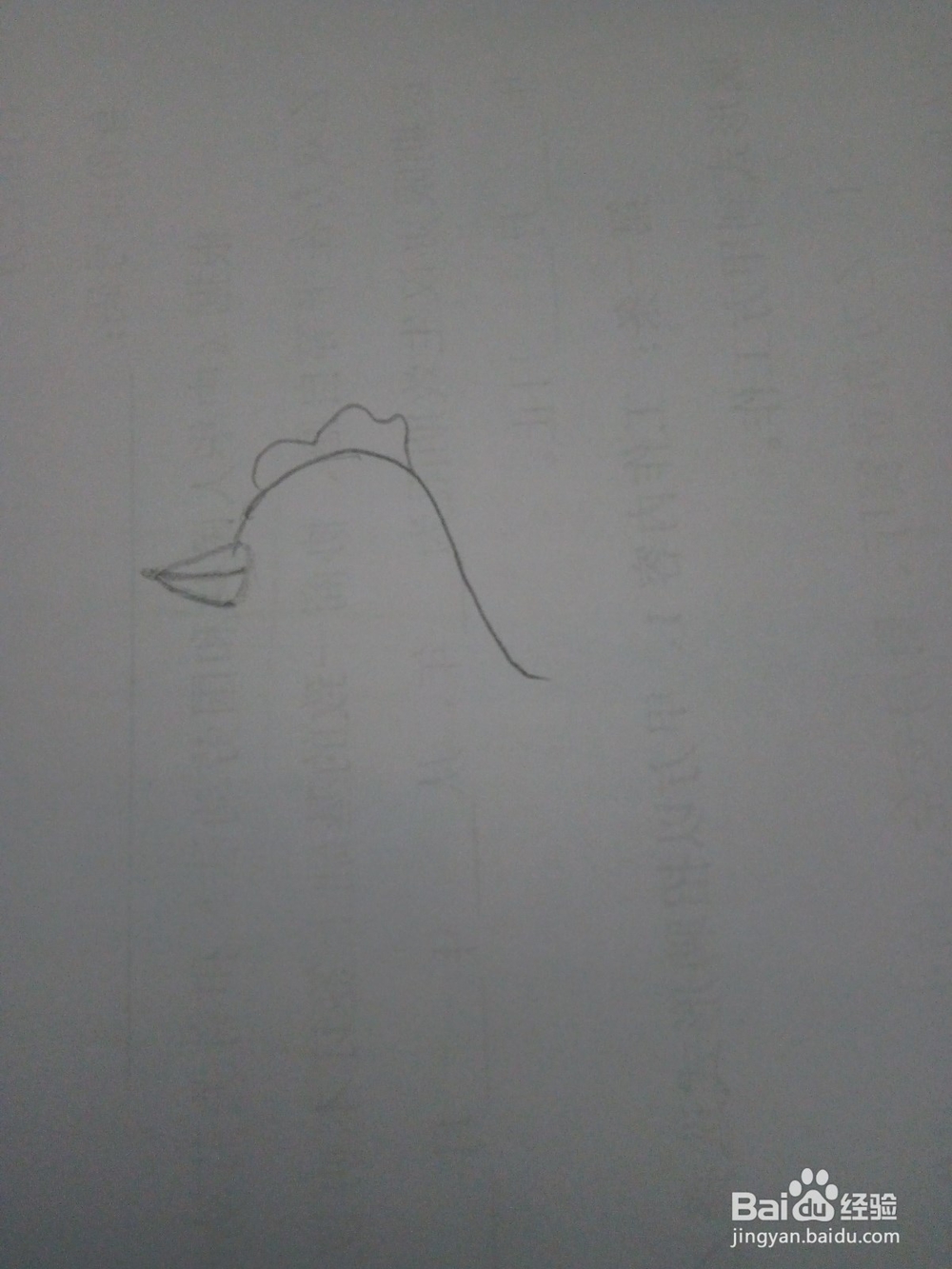简笔画老母鸡下蛋的画法