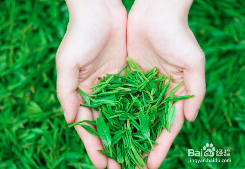 怎么创建一个茶叶品牌?