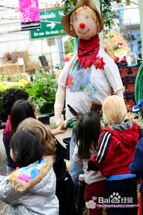 幼儿园亲子户外活动：学种花(组图)