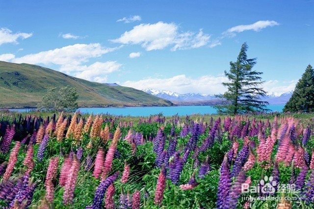 女生独自旅行需要注意的事项—第一次旅行推荐地