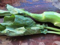 怎么做双酱芥蓝