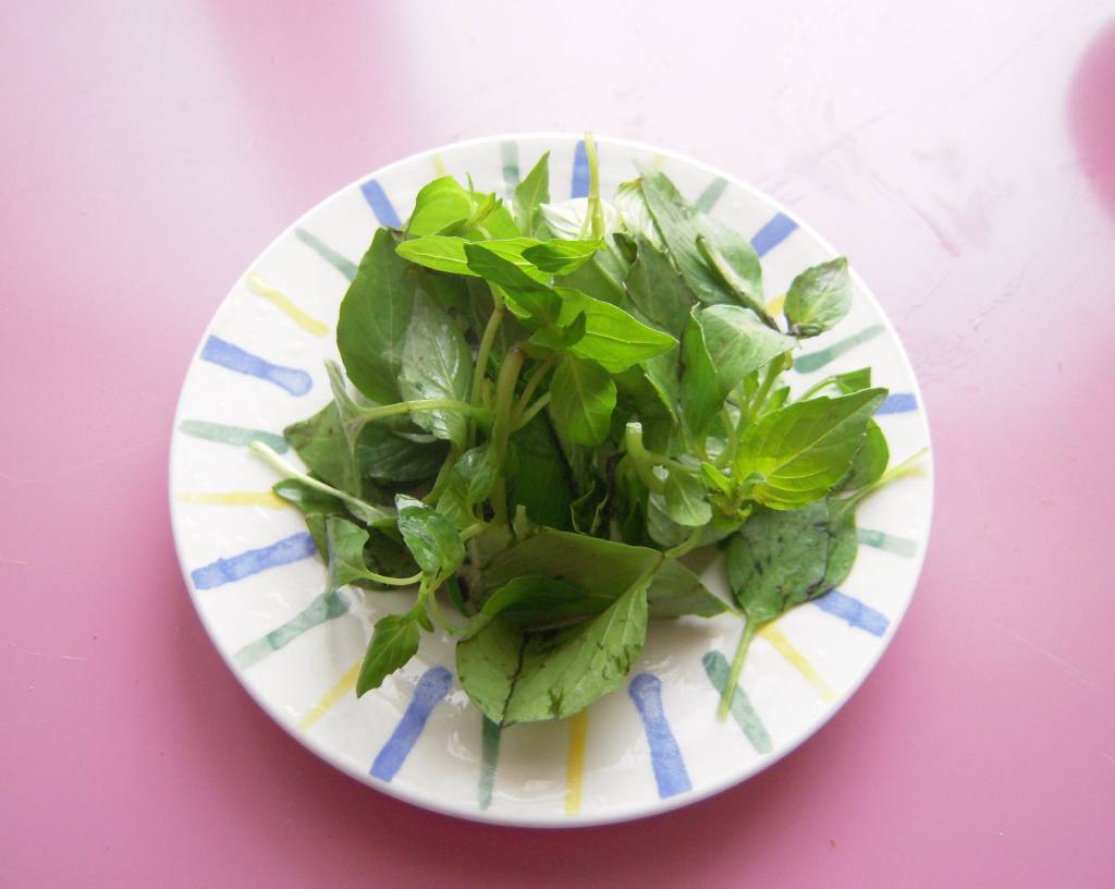 番茄鸡蛋荆芥汤面，味道真的棒极了！